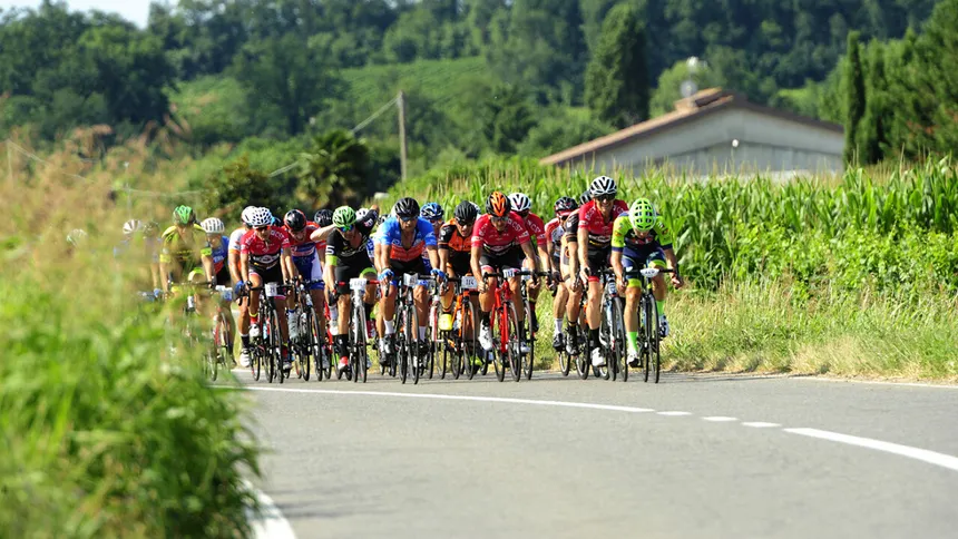 Campionato nazionale di strada in linea